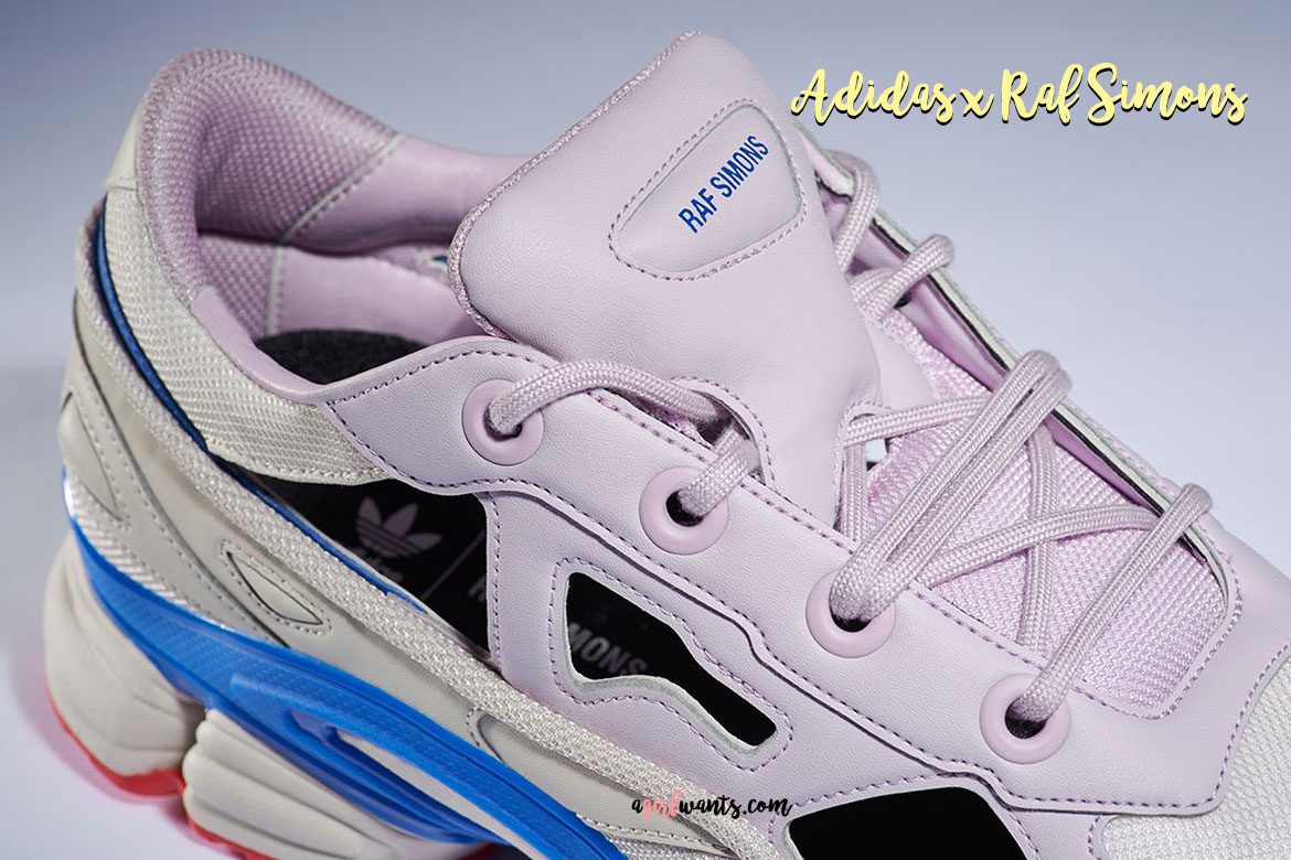 Adidas x Raf Simons Replicant Ozweego